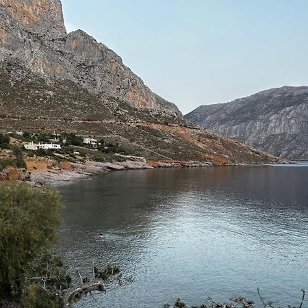 The Traditional House-Skalia,Kalymnos エクステリア 写真