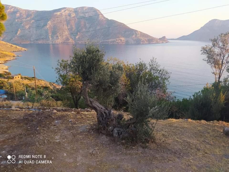 The Traditional House-Skalia,Kalymnos エクステリア 写真