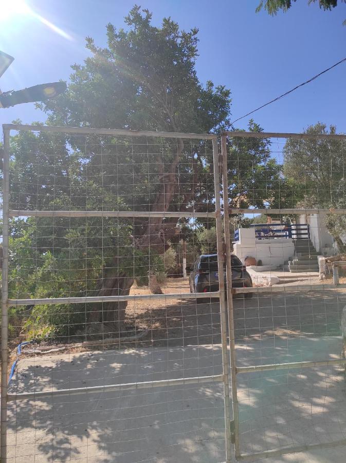 The Traditional House-Skalia,Kalymnos エクステリア 写真