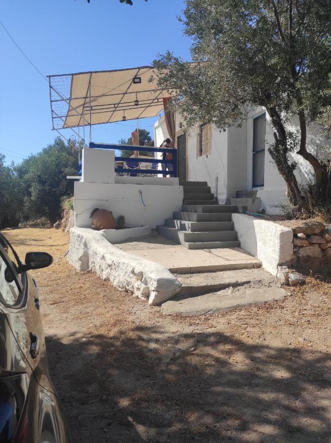The Traditional House-Skalia,Kalymnos エクステリア 写真