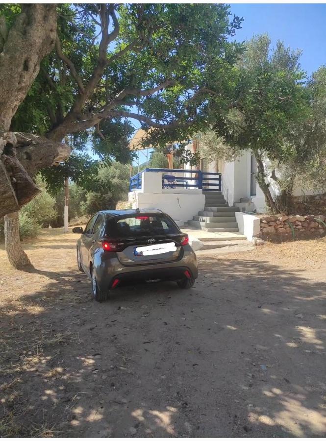 The Traditional House-Skalia,Kalymnos エクステリア 写真