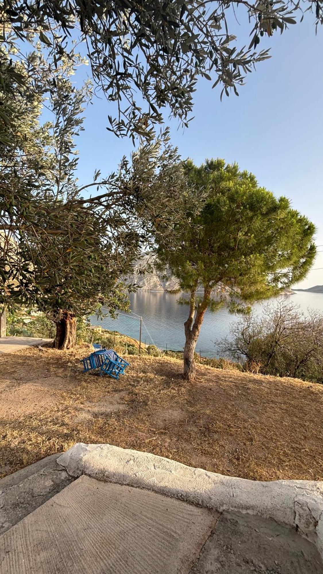 The Traditional House-Skalia,Kalymnos エクステリア 写真